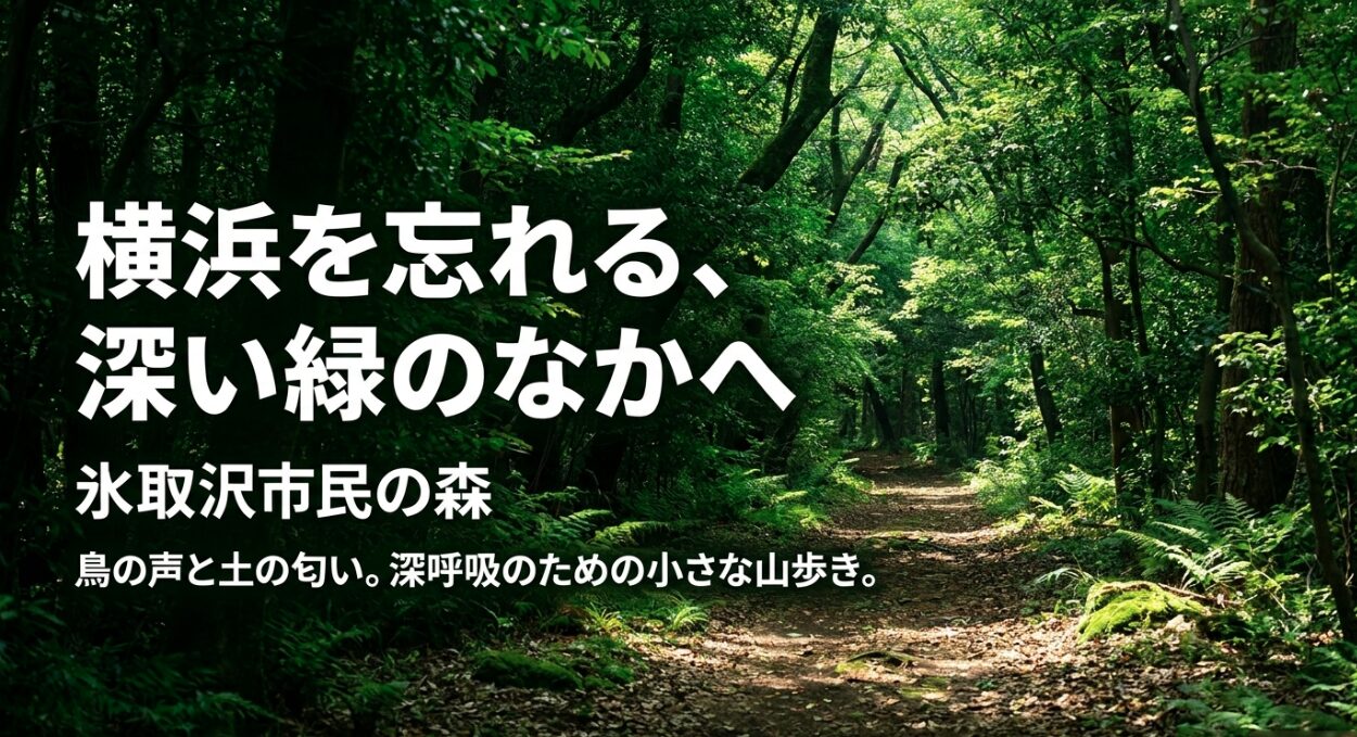 横浜を忘れ深い緑の中で深呼吸できる氷取沢市民の森