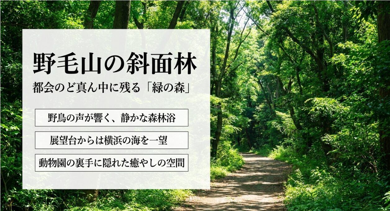 野毛山動物園の裏手に残る斜面林と癒やしの空間