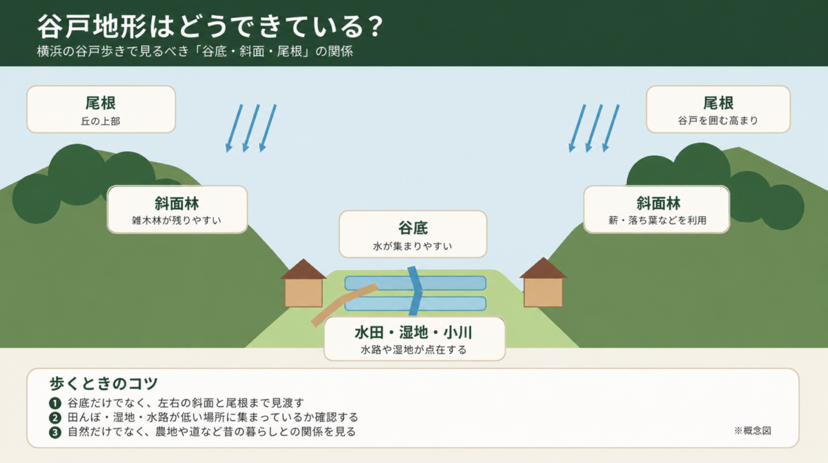 横浜の谷戸地形の仕組みを示した断面図。谷底の水田や小川、斜面林、尾根の位置関係を解説
