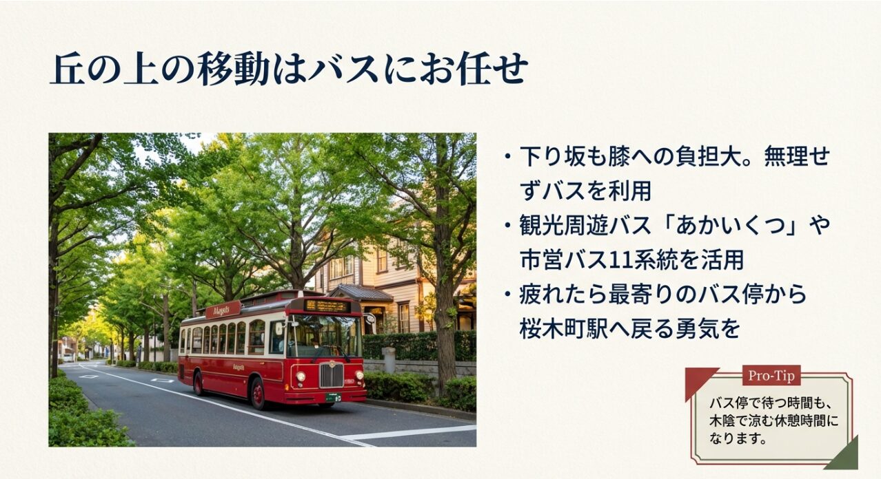 観光周遊バス「あかいくつ」や市営バス11系統を活用し、下り坂の負担を減らして移動するコツ。