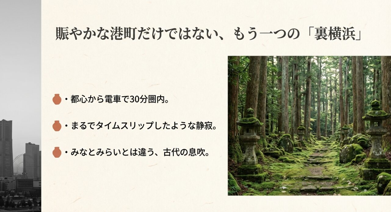 鬱蒼とした森の中の石畳の道の写真。「賑やかな港町だけではない、もう一つの裏横浜。都心から30分圏内でタイムスリップしたような静寂、古代の息吹を感じる」という説明文。