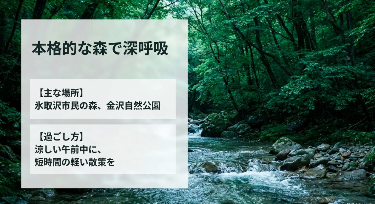氷取沢市民の森や金沢自然公園などの本格的な森で、涼しい午前中に短時間の軽い散策を行う過ごし方。