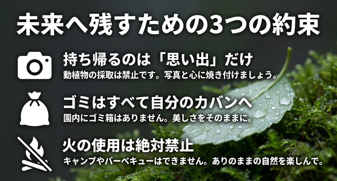 動植物の採取禁止、ゴミの持ち帰り、火気厳禁など、陣ヶ下渓谷公園の自然を未来へ残すためのルールを説明するスライド