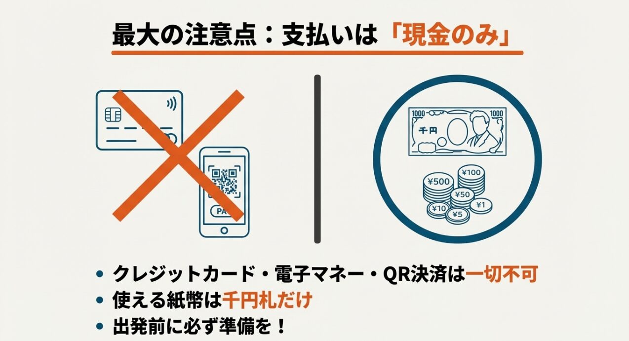 クレジットカードや電子マネー不可、現金のみ対応、使用可能な紙幣は千円札だけであることを示す警告図解。