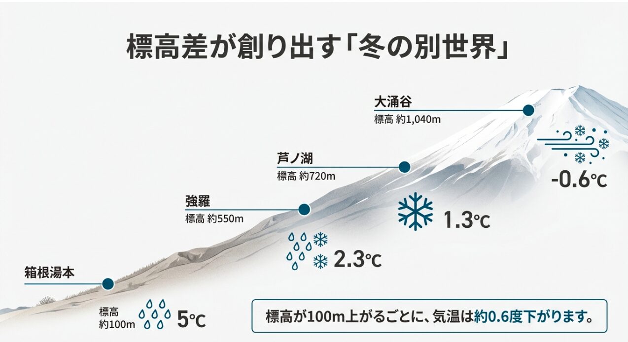 箱根湯本(100m)、強羅(550m)、芦ノ湖(720m)、大涌谷(1,040m)の標高差と、それぞれの地点での予測気温を示した断面図解。