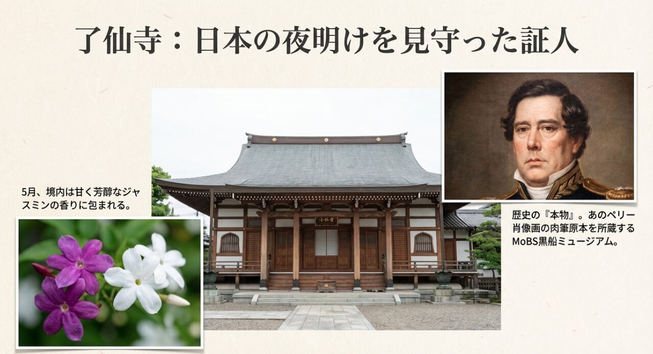ペリーの肉筆肖像画を所蔵する黒船ミュージアムと、境内に咲き誇るアメリカジャスミンの紹介スライド