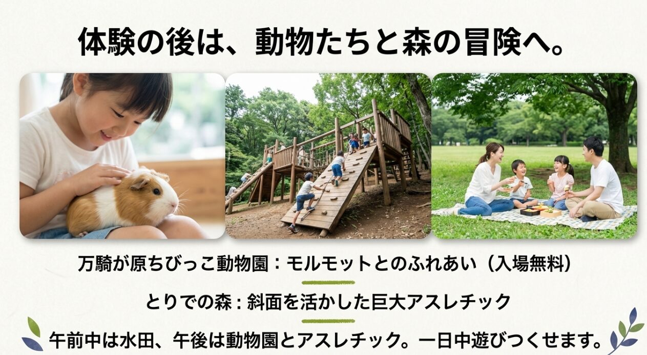 万騎が原ちびっこ動物園