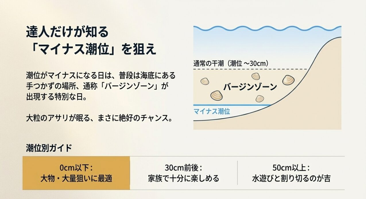 潮位がマイナスになる日に現れる、手つかずの「バージンゾーン」の図解。大粒のアサリが狙える理由を説明。