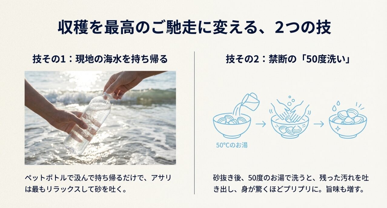 現地の海水を持ち帰る方法と、砂抜き後に50度のお湯で洗うことで汚れを出し身をプリプリにする手順の図解。