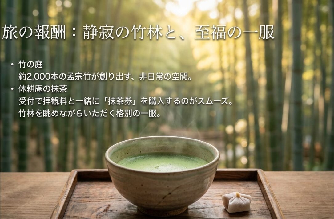 約2,000本の孟宗竹が創り出す竹林と、茶席「休耕庵」でのお抹茶