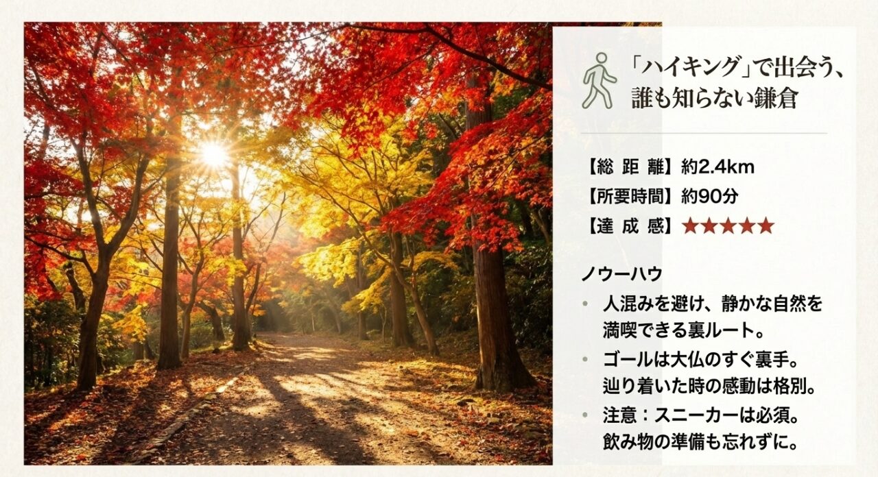 美しい紅葉の森の画像と共に、総距離約2.4km、所要時間約90分のハイキングコースと注意点（スニーカー必須）を記したスライド。
