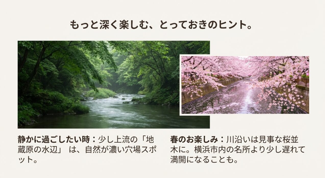 静かに過ごせる「地蔵原の水辺」の紹介と、春の和泉川沿いの見事な桜並木についての情報をまとめたスライド。