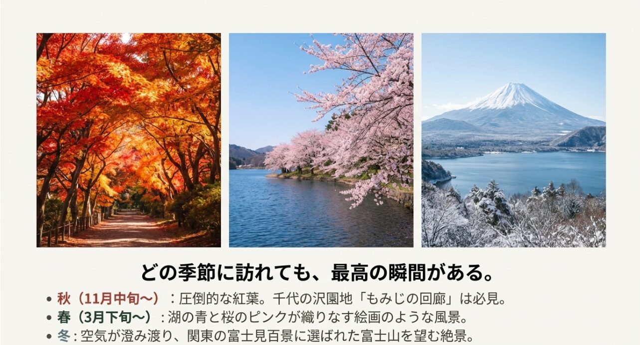 11月の紅葉、春の桜、冬の澄んだ空気の中に浮かぶ富士山の三枚の風景写真。