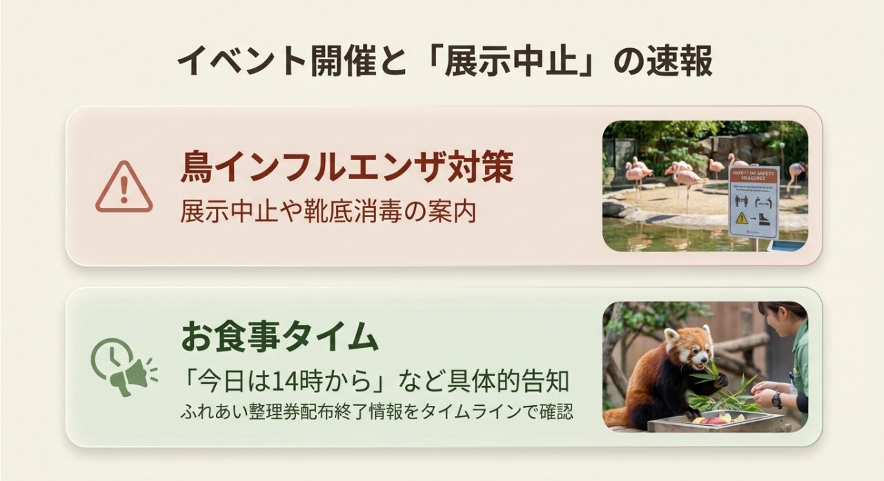 お食事タイムの時間告知や、鳥インフルエンザ対策による展示中止、靴底消毒の案内などを説明したスライド 。