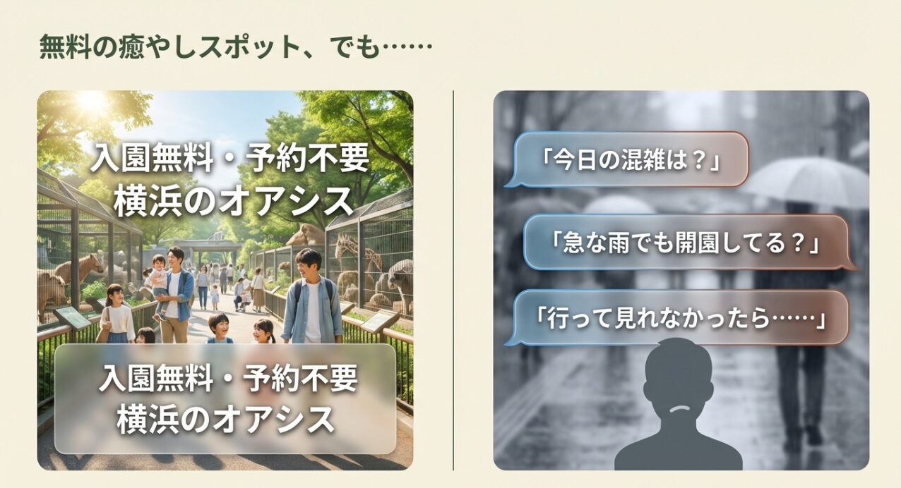入園無料・予約不要で楽しめる野毛山動物園のメリットと、来園前の不安を解消するイメージスライド