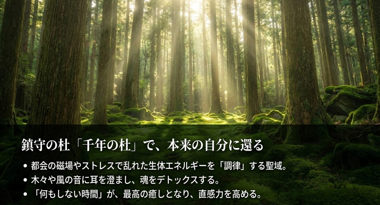 多賀新氏デザインの鳳凰の御朱印帳、縁結守、そして自ら運命を引き寄せる体験としての「鯛みくじ」の紹介