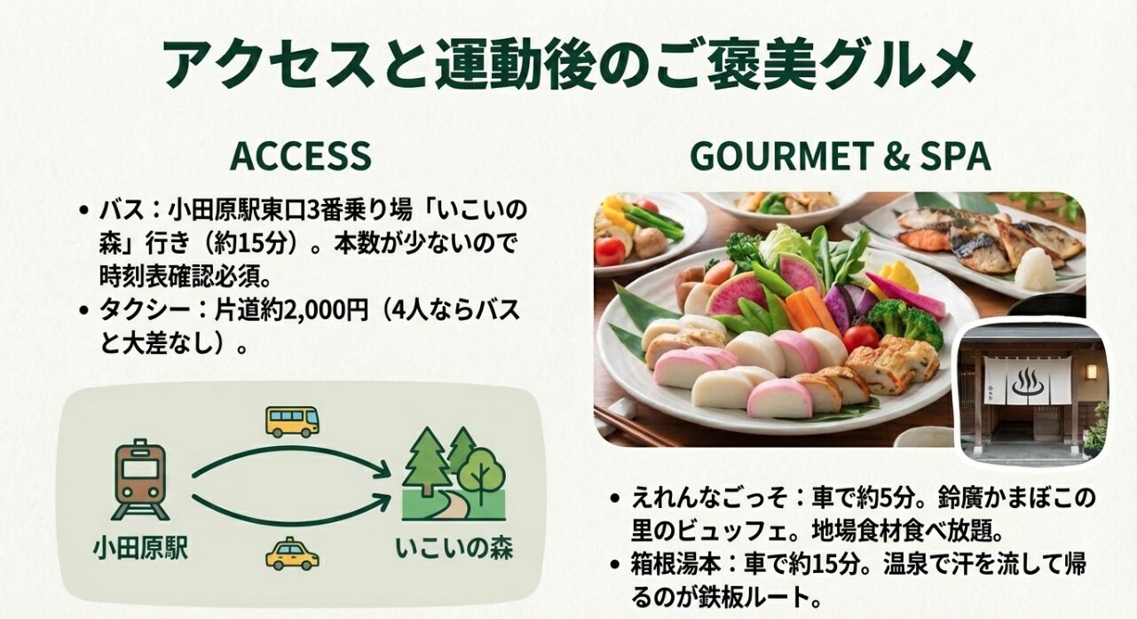 小田原駅からのバス・タクシー利用時間と、ビュッフェ「えれんなごっそ」や箱根湯本温泉などの周辺スポット