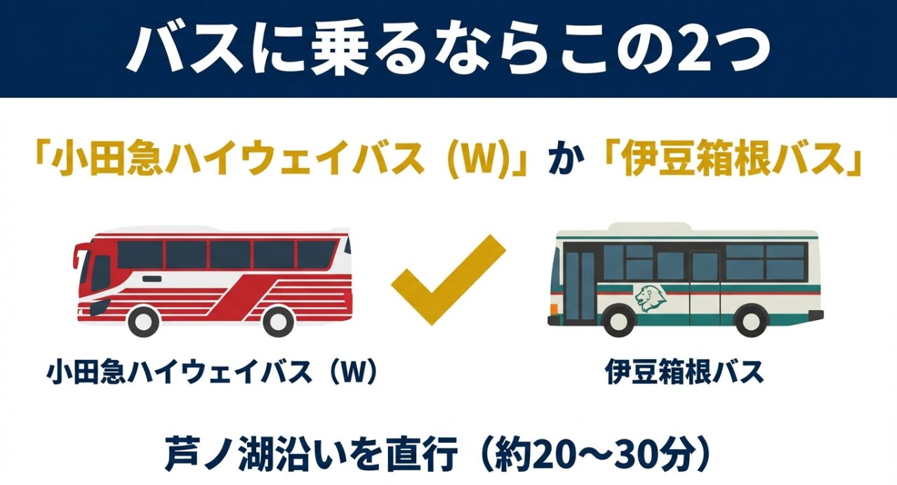 小田急ハイウェイバス（W系統）と伊豆箱根バスの車両写真と、芦ノ湖沿いを約20〜30分で直行するルート案内