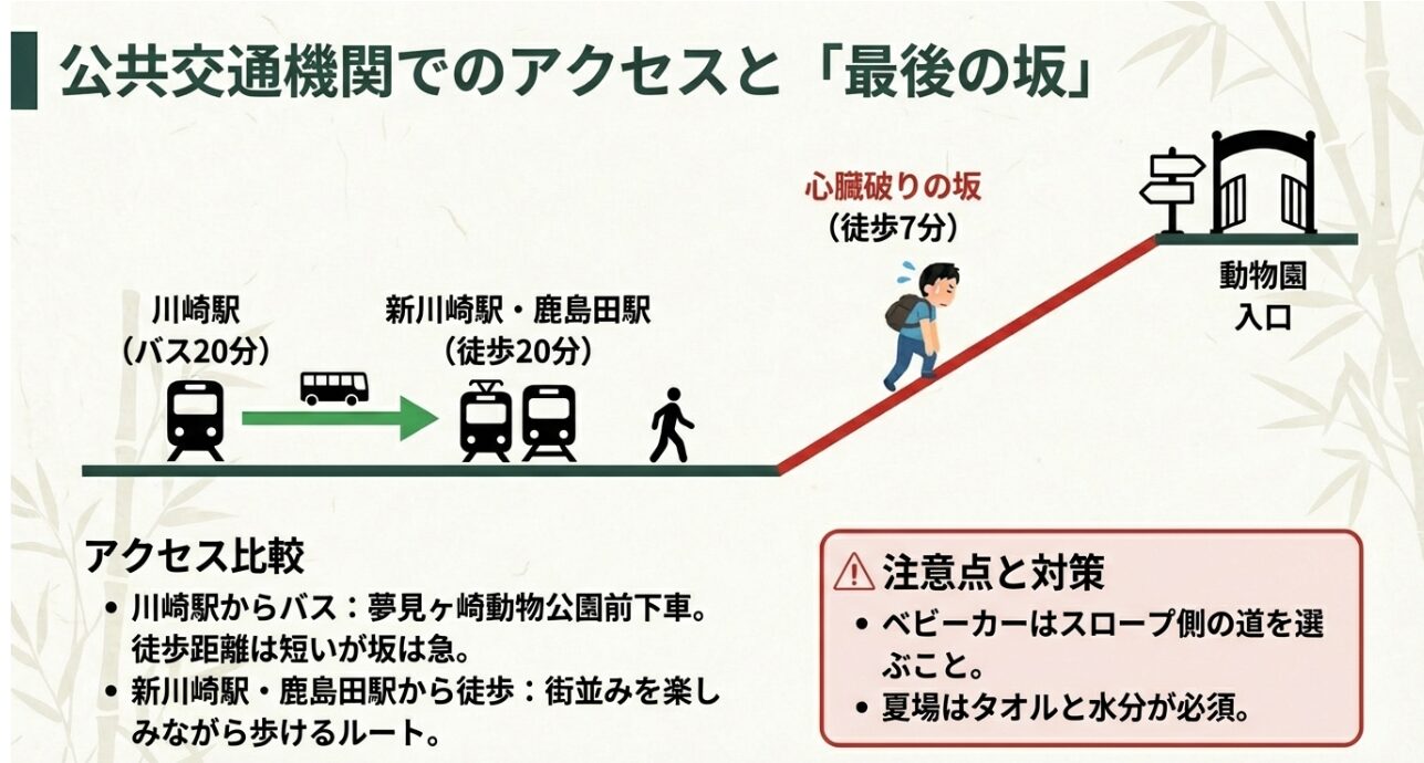 川崎駅からのバスルートと新川崎駅からの徒歩ルートの比較、および「心臓破りの坂」やベビーカー利用時の注意点をまとめたスライド。