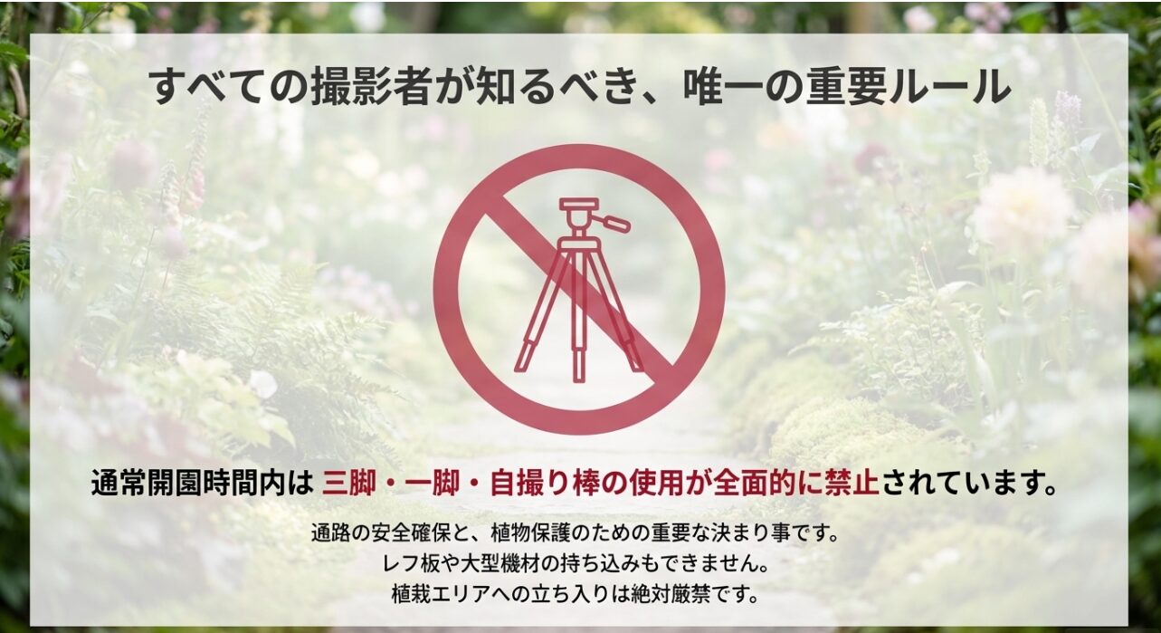 通常開園時間は三脚・一脚・自撮り棒が全面禁止、レフ板や大型機材も不可という撮影ルールの注意書き