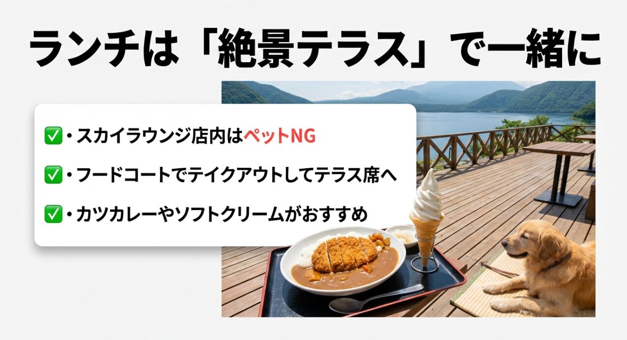 「店内NG、テラス席OK」のルールとカツカレー等のテイクアウトメニュー案内
