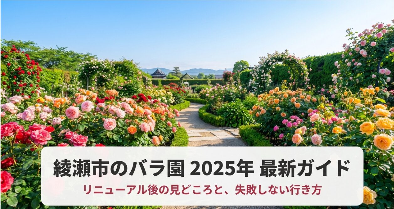 綾瀬市のバラ園2025年最新ガイドの表紙。リニューアル後の見どころと失敗しない行き方についての紹介スライド。