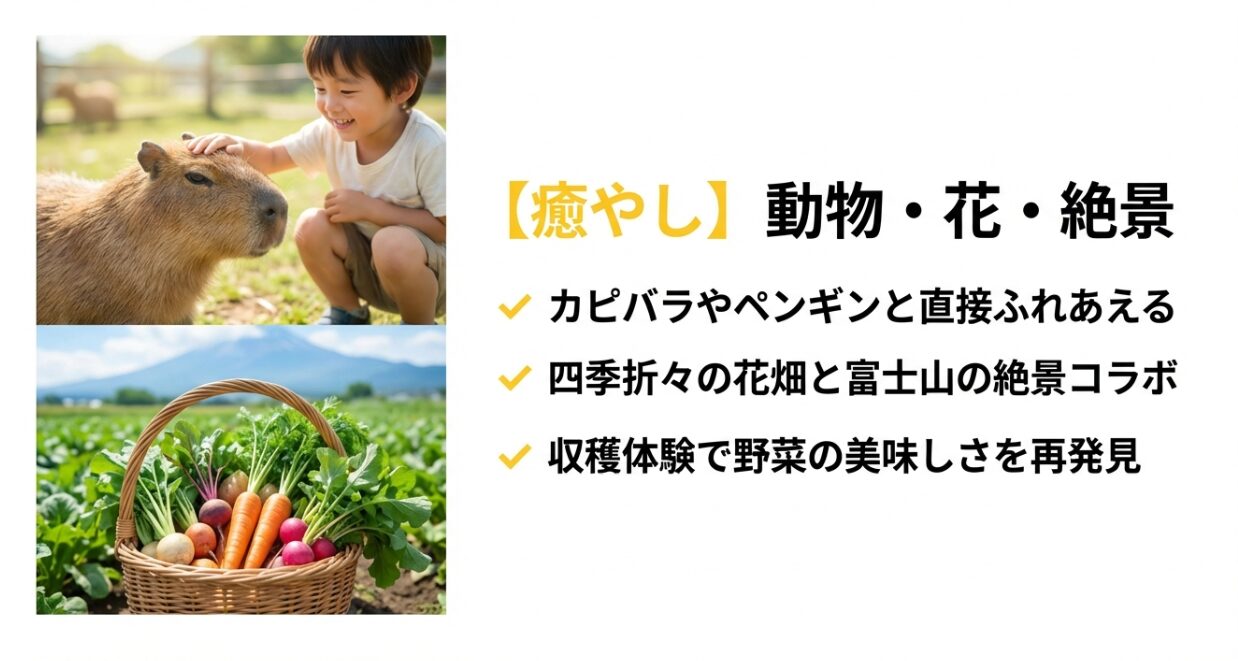 カピバラやペンギンとのふれあい、四季折々の花畑と富士山の絶景コラボレーション。
