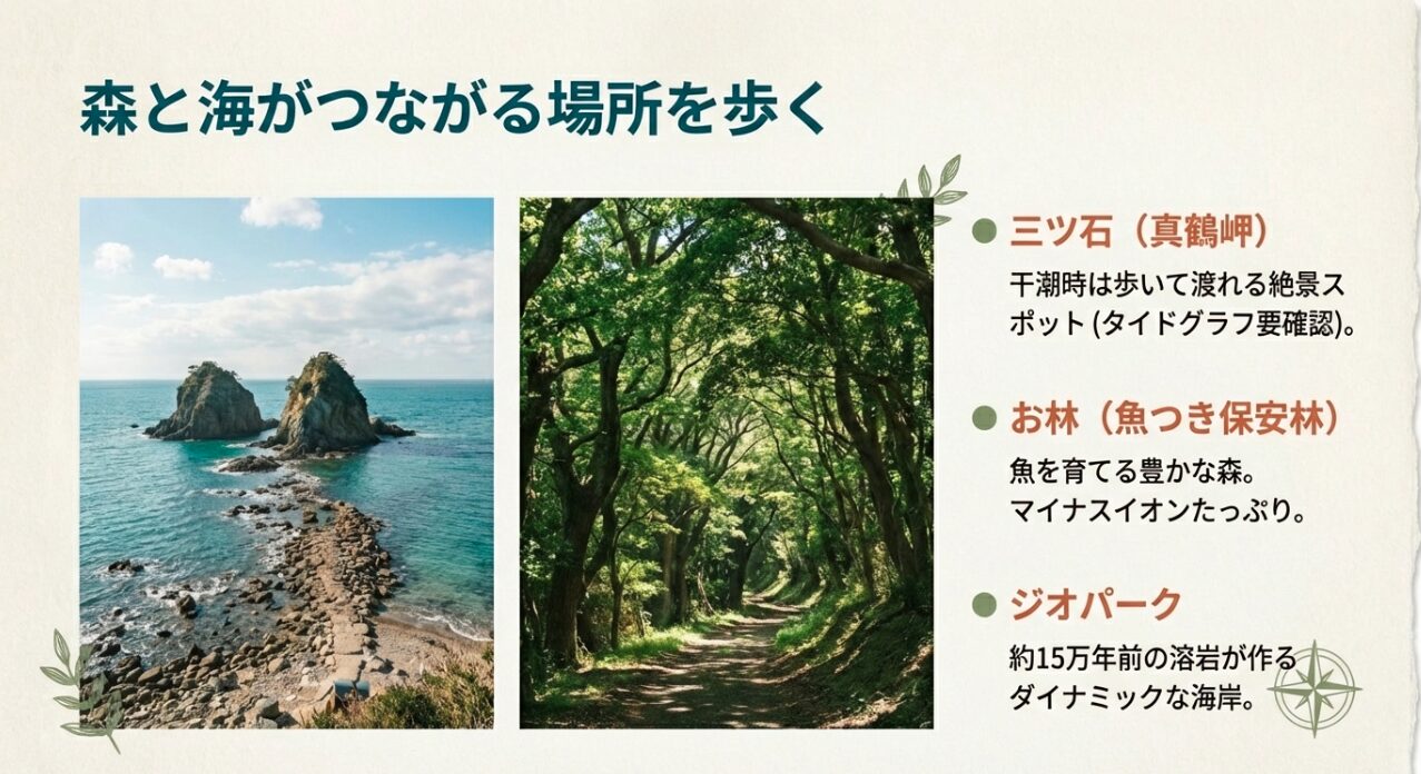 干潮時に渡れる三ツ石、魚を育てる「お林」、15万年前の溶岩が作ったジオパークなど、自然を満喫するハイキングスポットの解説スライド