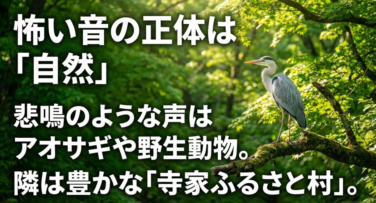 怖い音の正体はアオサギなどの野生動物であり、隣接する寺家ふるさと村の豊かな自然を説明するスライド。