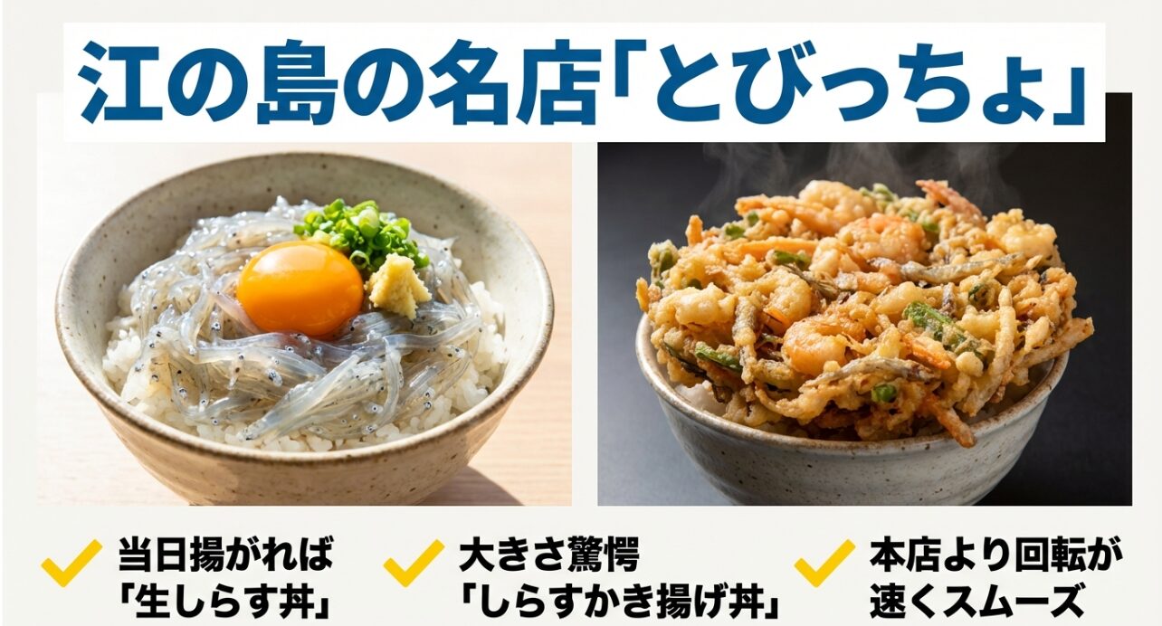 江の島の名店「とびっちょ」の生しらす丼としらすかき揚げ丼の写真。本店より回転が速くスムーズに利用できることの解説。