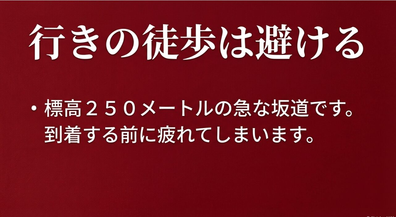標高250メートルの急な坂道があるため、到着前に疲れてしまう「行きの徒歩」は避けるよう促すスライド。