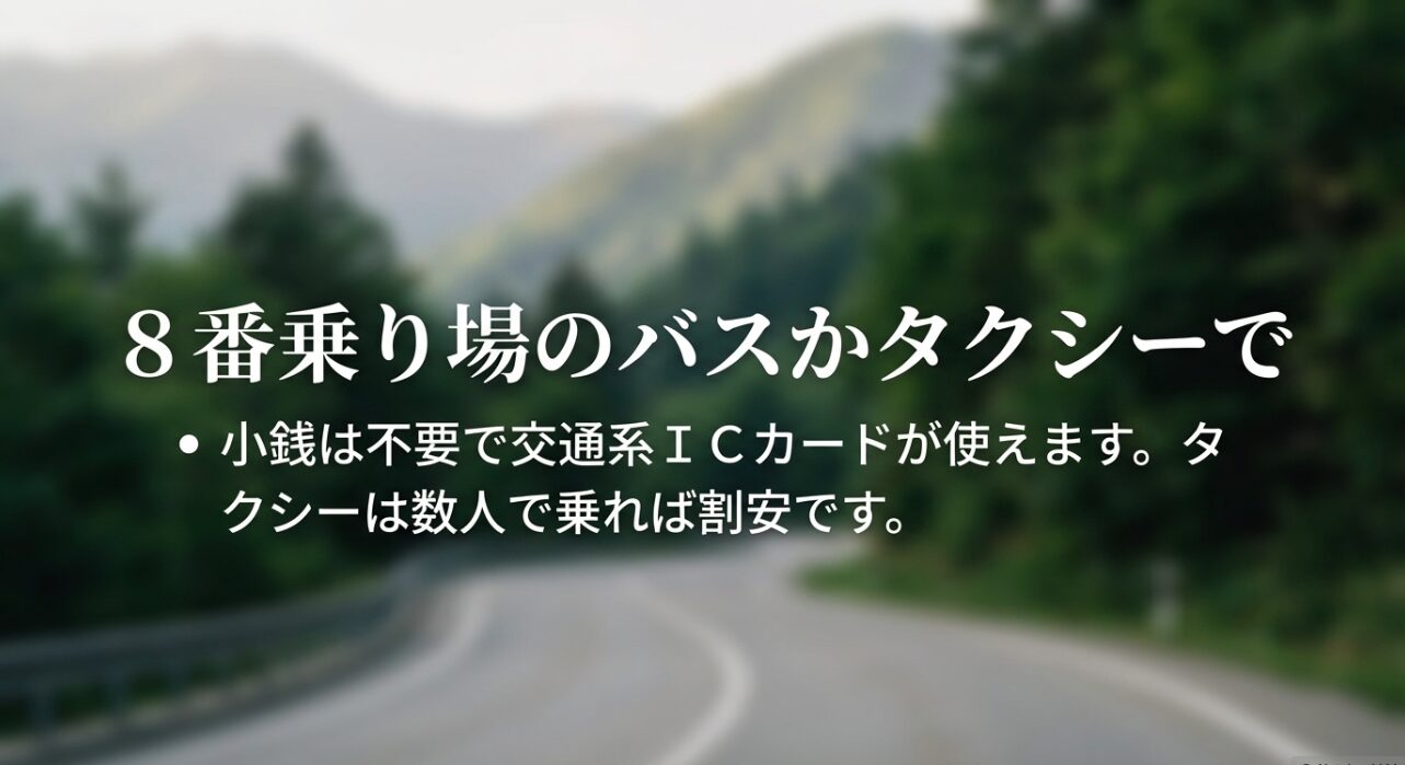 熱海駅8番乗り場からバスかタクシーを利用すること、交通系ICカードが使用可能なことを説明するスライド