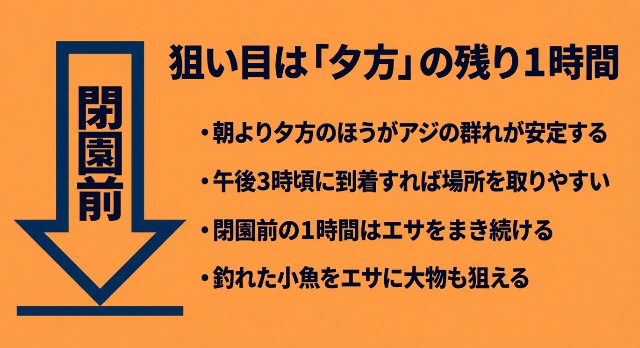 本牧海釣り施設での夕方のアジ狙い。午後3時到着と閉園前1時間のコマセ撒きの重要性。