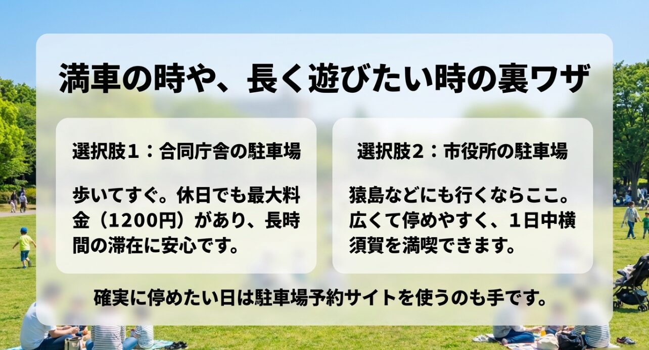 満車の時や長く遊びたい時の裏ワザ 。合同庁舎の駐車場や市役所の駐車場が選択肢になります 。