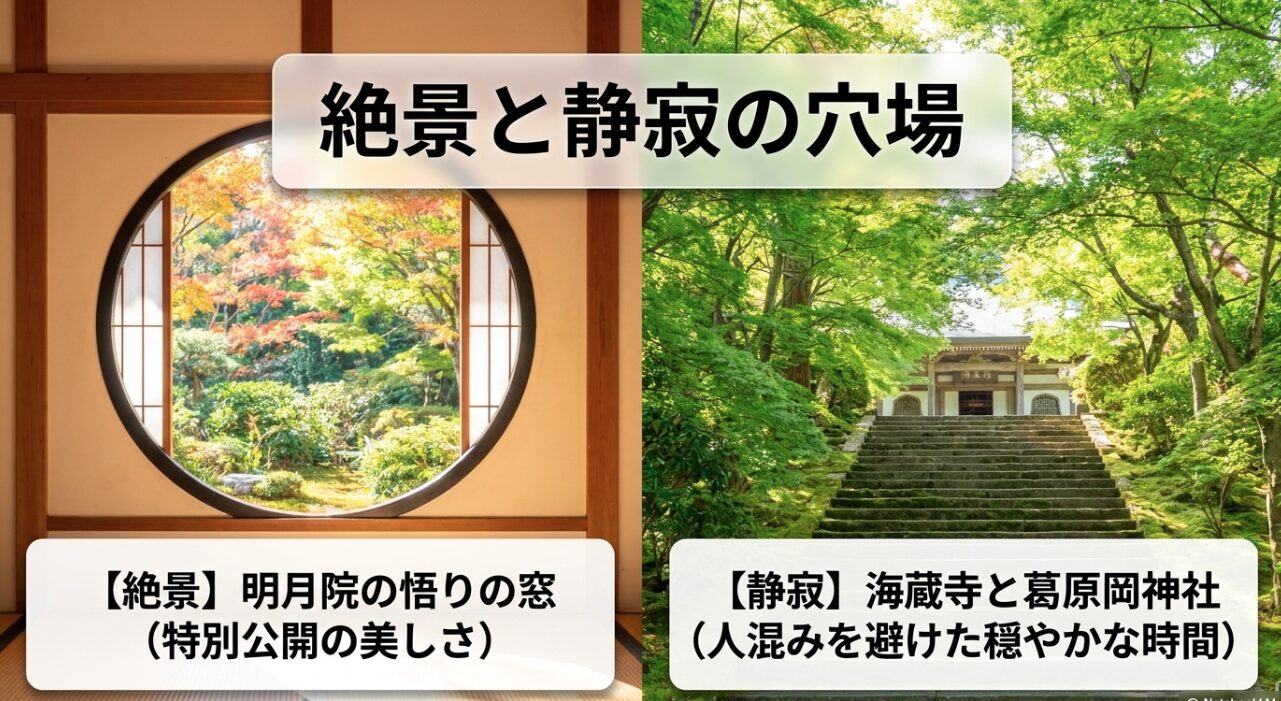 明月院の悟りの窓から見る絶景と、人混みを避けた海蔵寺や葛原岡神社の静寂な穴場スポットの紹介