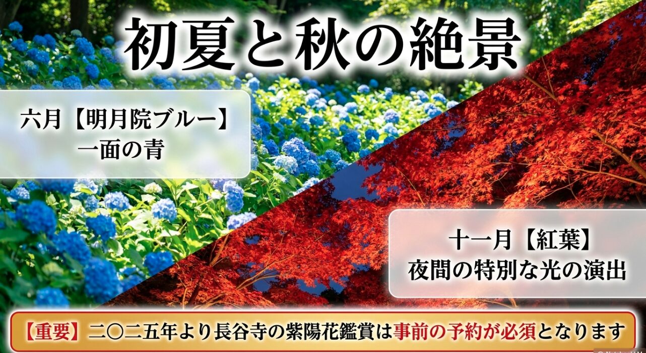 6月の明月院ブルーと呼ばれる紫陽花、11月の紅葉ライトアップ、および長谷寺紫陽花鑑賞の事前予約必須に関する注意点