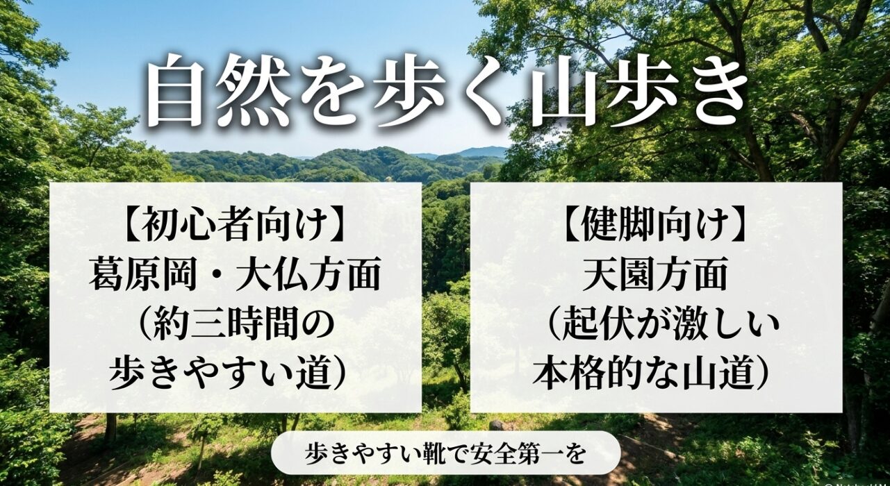 初心者向けの葛原岡・大仏方面コースと、健脚向けの天園方面コースの2つのハイキングルートの特徴