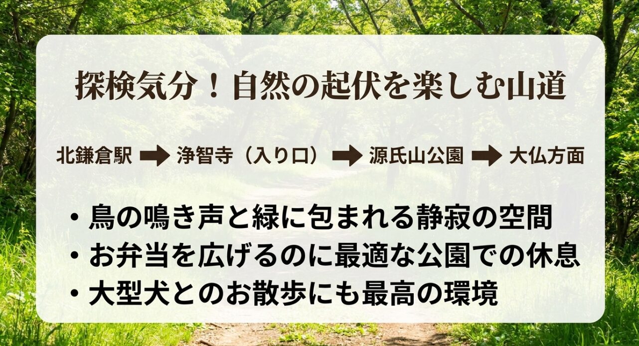 浄智寺から源氏山公園を経て大仏方面へ向かう、自然の起伏を楽しむ山道ルートの解説