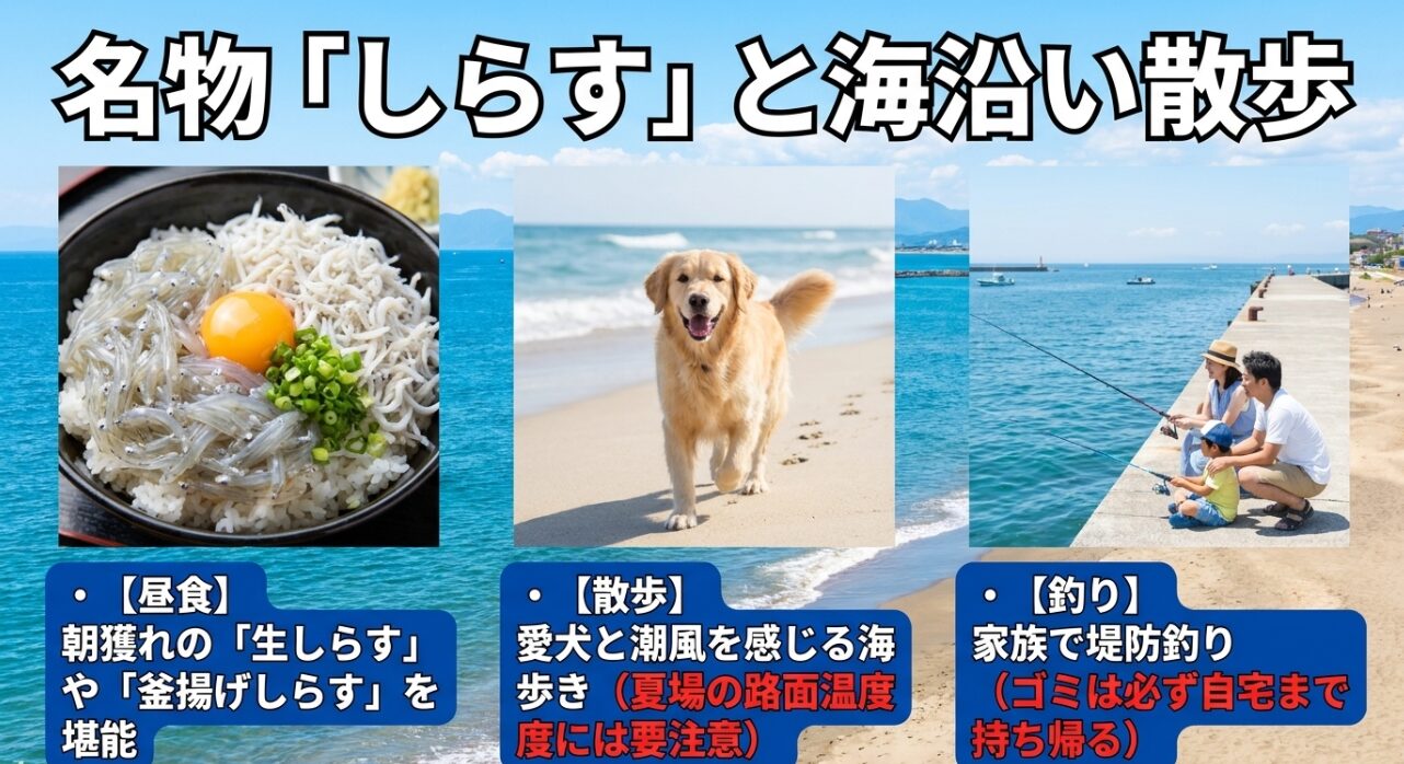 しらす丼の画像。名物の生しらすや釜揚げしらすの堪能、愛犬との海沿い散歩、家族での堤防釣りなど周辺の楽しみ方。
