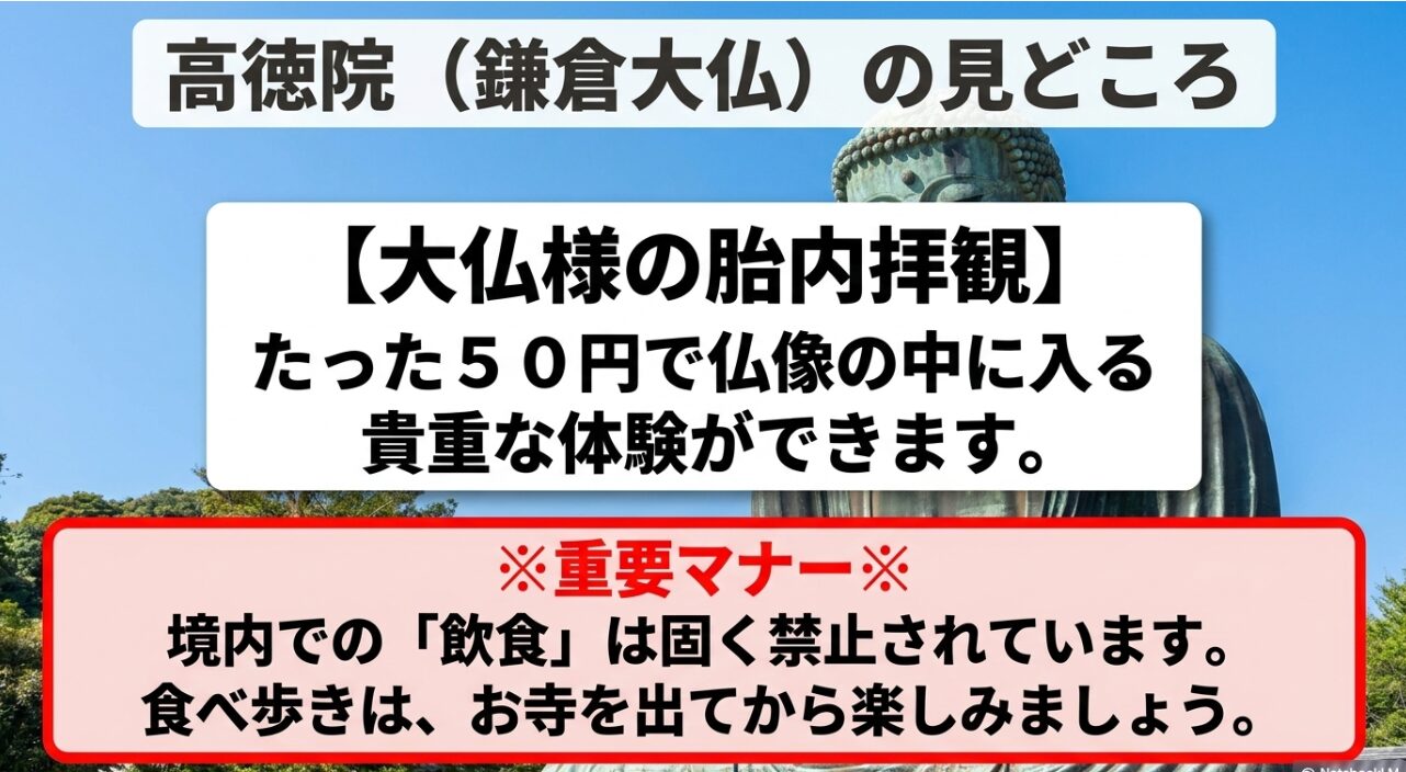 50円で体験できる大仏様の胎内拝観の見どころと、高徳院境内での飲食禁止という重要マナーの解説。