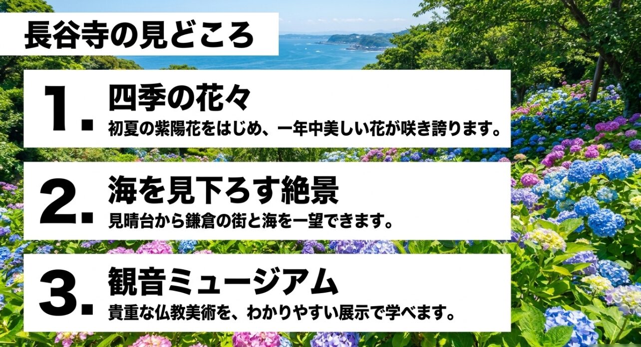 長谷寺の見どころである四季の花々、見晴台から海を見下ろす絶景、観音ミュージアムの紹介。