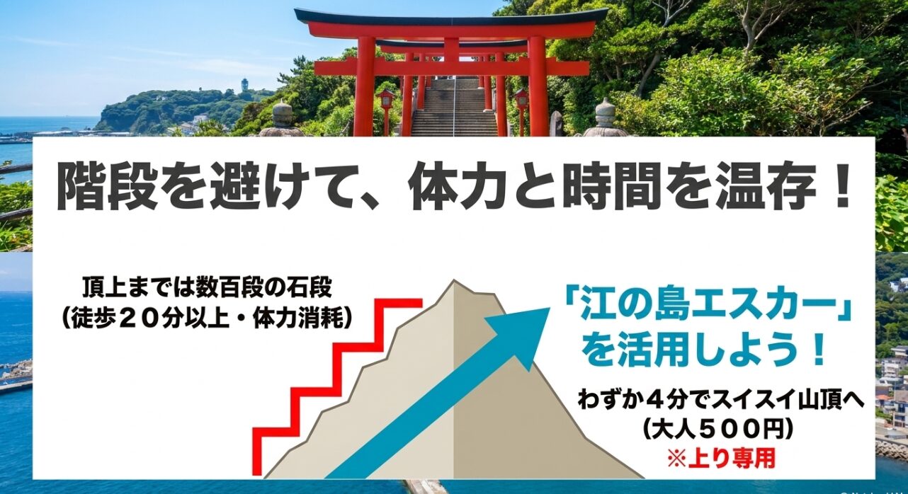 階段を避けて山頂へ行ける江の島エスカーの活用法