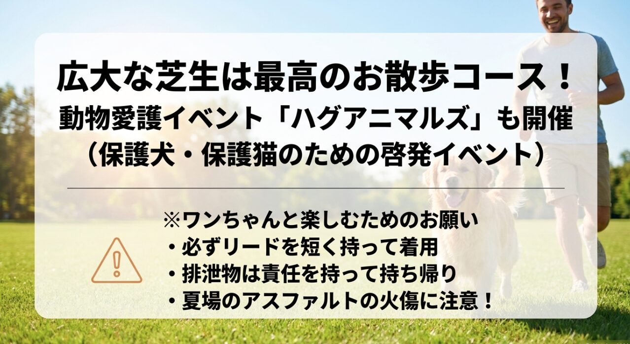 : 保護犬・保護猫のためのイベント「ハグアニマルズ」と犬連れで楽しむ際の注意点