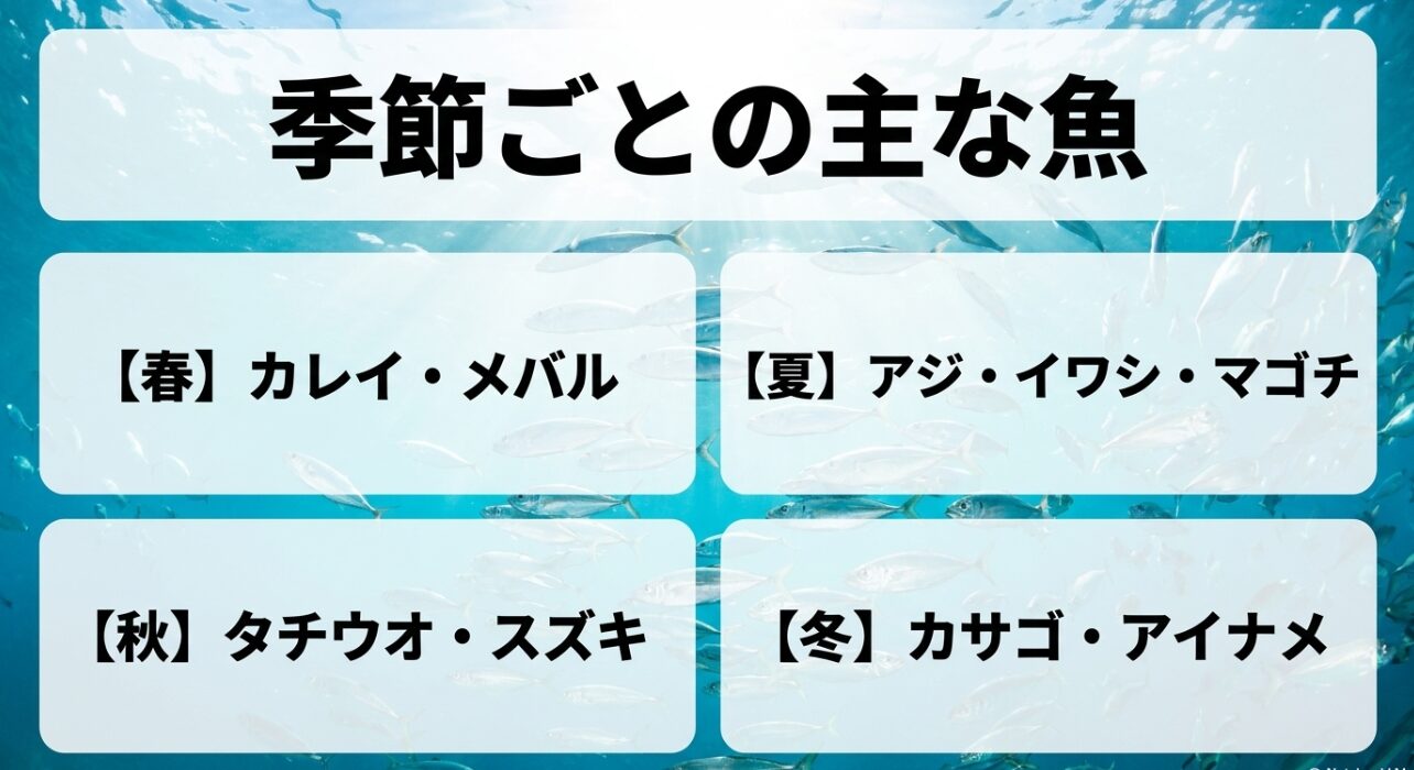 季節ごとの主な魚として、【春】カレイ・メバル、【夏】アジ・イワシ・マゴチ、【秋】タチウオ・スズキ、【冬】カサゴ・アイナメを一覧にした画像