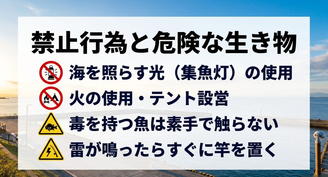 禁止行為と危険な生き物について、海を照らす光(集魚灯)の使用や火の使用・テント設営の禁止、毒を持つ魚は素手で触らない、雷が鳴ったらすぐに竿を置くことをまとめたスライド