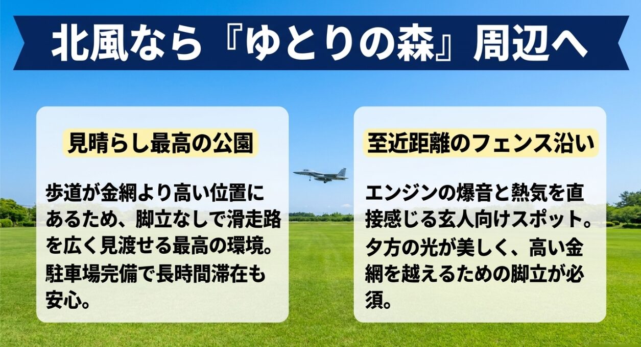 北風の日に最適な見晴らしの良いゆとりの森と至近距離のフェンス沿い撮影ポイント