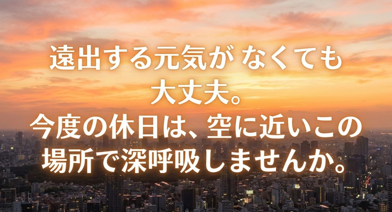 遠出する元気がなくても休日は空に近い川崎市役所の展望ロビーで深呼吸