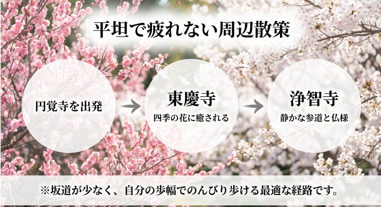円覚寺から出発する平坦で疲れない周辺散策ルート。四季の花に癒される東慶寺と静かな参道が魅力の浄智寺